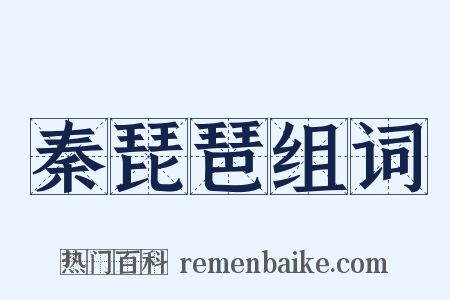 秦琵琶组词是什么意思的图片